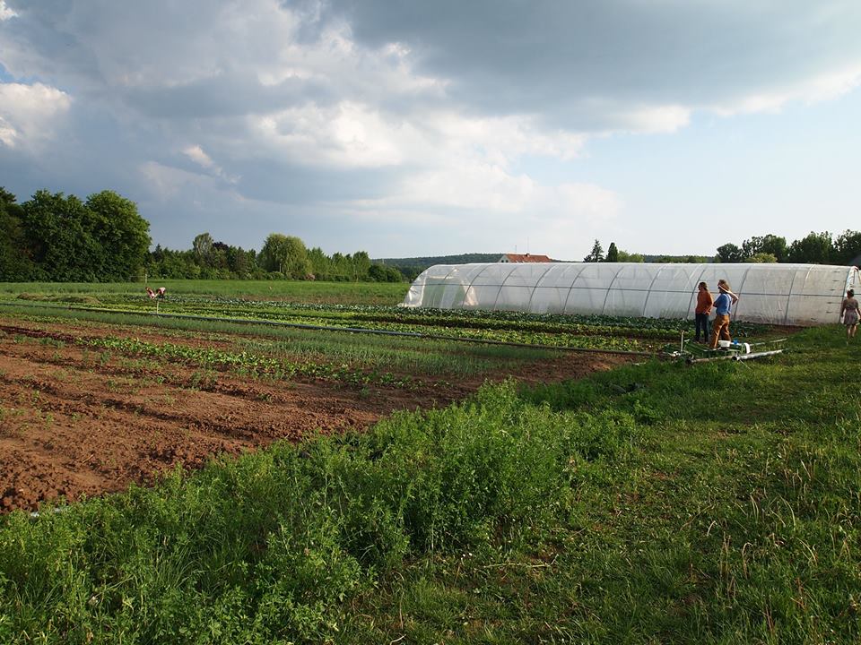 Solidarische Landwirtschaft